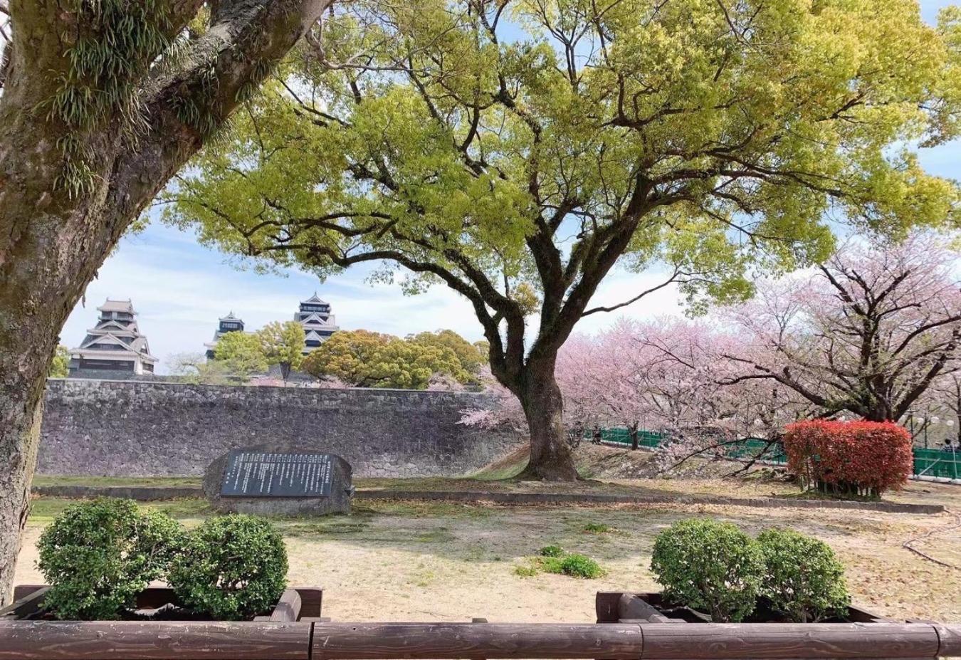Chambord Kyomachi 102 - Vacation Stay 67038V Kumamoto Ngoại thất bức ảnh