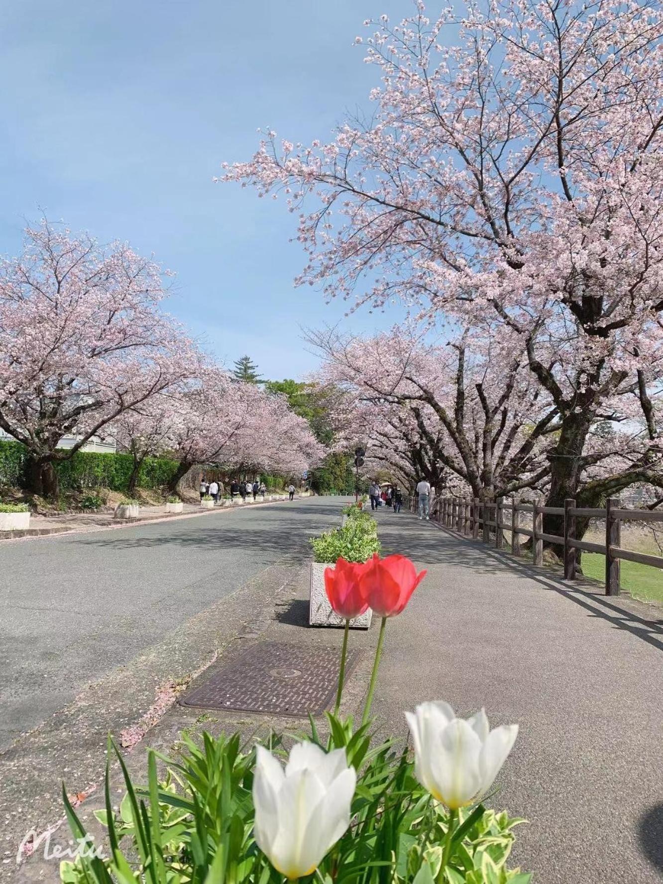 Chambord Kyomachi 102 - Vacation Stay 67038V Kumamoto Ngoại thất bức ảnh